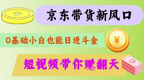 最新京东短视频带货代运营秘籍，轻松躺挣【揭秘】-领学通
