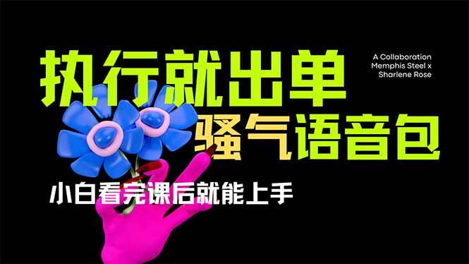 （14170期）爆火全网的开车导航骚气语音包,只要执行就出单，小白看完课程就能实操…-领学通