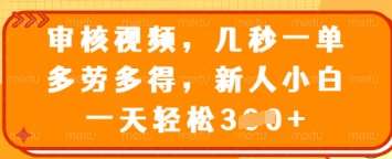 审核视频，几秒一单，多劳多得，新人小白一天轻松3张【揭秘】-领学通