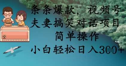 条条爆款，视频号夫妻搞笑对话项目，简单操作，小白轻松日入3张+-领学通