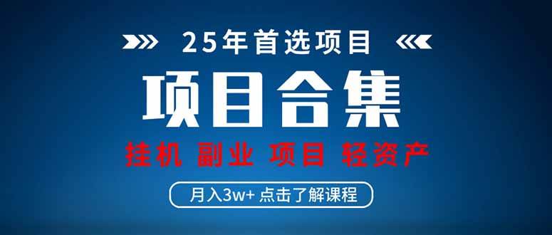 （14175期）2025 实操项目合集 挂机类型 直播类型 轻资产创业类型 课程分享各项目…-领学通