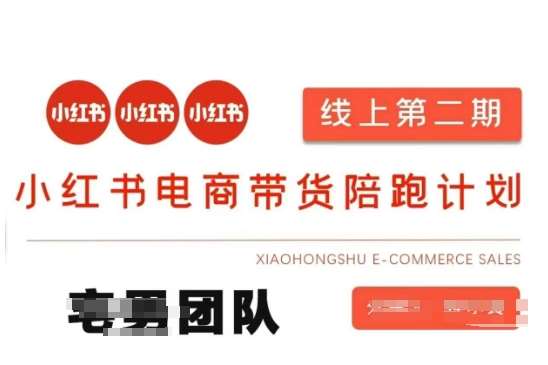 小红书电商带货课2期，月利润20个的小红书电商的有货源，无货源，虚拟产品，付费投流等整套玩法-领学通