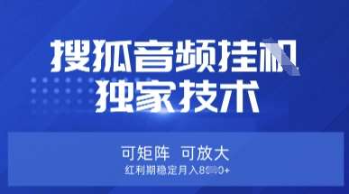 【搜狐音频挂G】独家技术，可矩阵可放大，红利期稳定月入8k【揭秘】-领学通