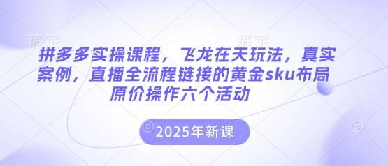 拼多多实操课程，飞龙在天玩法，真实案例，直播全流程链接的黄金sku布局原价操作六个活动-领学通