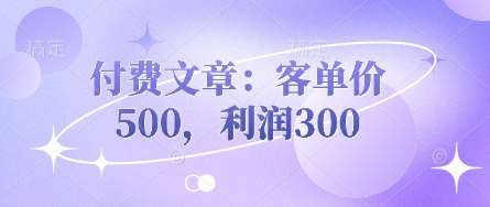 付费文章：客单价500，利润300-领学通