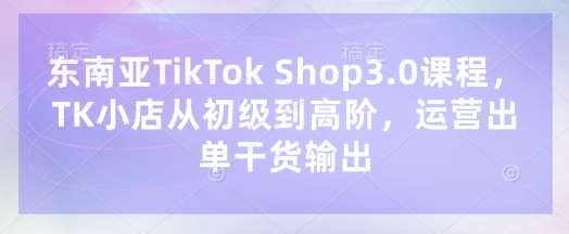 东南亚TikTok Shop3.0课程，TK小店​从初级到高阶，运营出单干货输出-领学通
