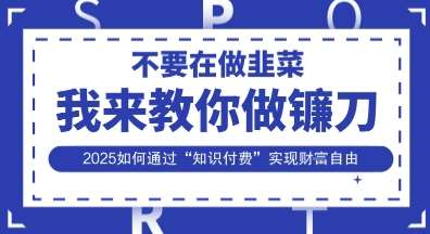 韭菜生涯终结者，我来教你做镰刀，2025如何通过“知识付费”实现财F自由【揭秘】-领学通