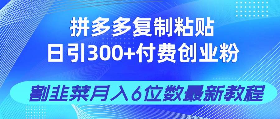 （14232期）拼多多复制粘贴日引300+付费创业粉，割韭菜月入6位数最新教程！-领学通