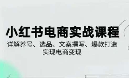 小红书从0-1实操课(2023-2025)，详解养号、选品、文案撰写、爆款打造实现电商变现-领学通