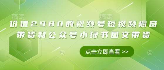 价值2980的视频号短视频橱窗带货和公众号小绿书图文带货-领学通