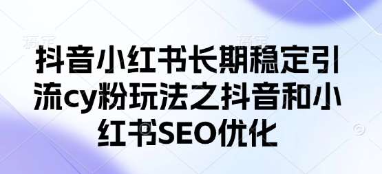 抖音小红书长期稳定引流cy粉玩法之抖音和小红书SEO优化-领学通