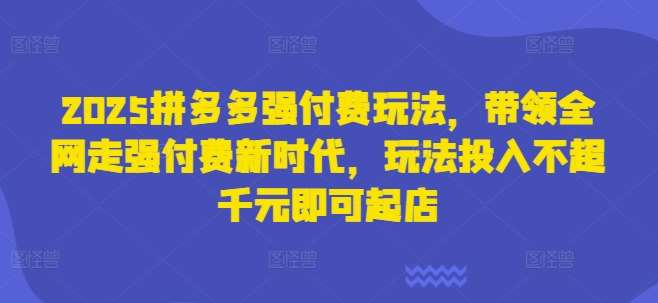 2025拼多多强付费玩法，带领全网走强付费新时代，玩法投入不超千元即可起店-领学通