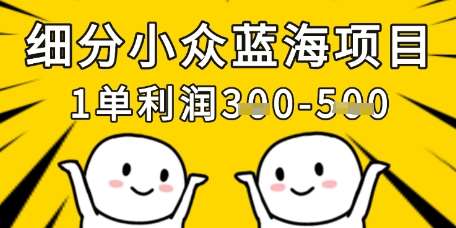 细分小众蓝海项目，一单利润3张，每月收入稳定过1w+-领学通