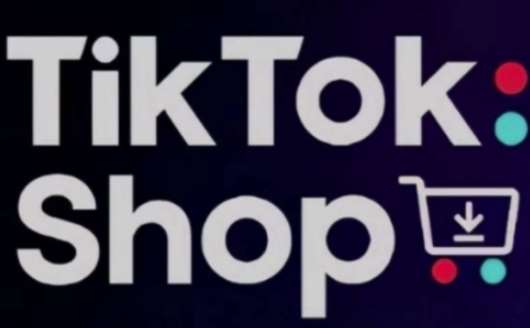 TikTokShop跨境电商0-1实战，手把手教你低成本启动海外市场-领学通