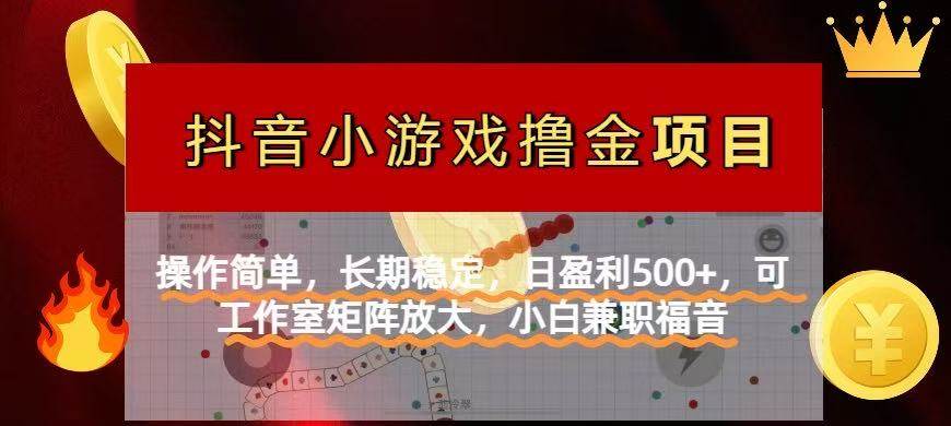 （14290期）【抖音小游戏发行人计划项目】操作简单，长期稳定，日盈利500+，可工作…-领学通