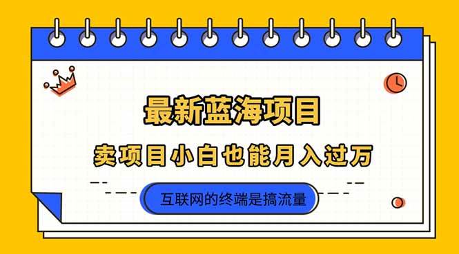（14289期）2025年最新蓝海项目，卖项目小白也能月入过万-领学通