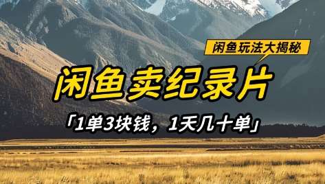 闲鱼卖纪录片1单3块钱，1天几十单，项目稳定有潜力-领学通