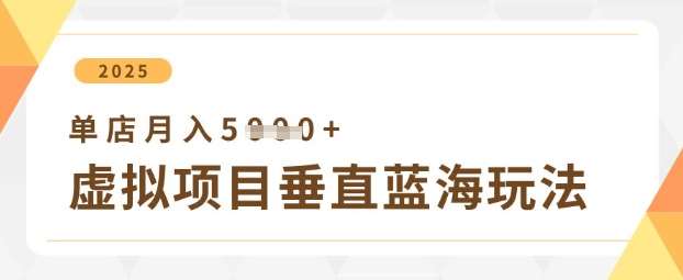 虚拟项目垂直玩法，实现单店月入5k+-领学通