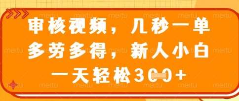 最新审核视频，几秒一单，多劳多得，新人小白一天轻松3张【揭秘】-领学通