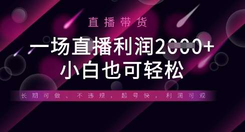 半无人直播带货，一场利润数张，适合所有平台玩法，小白也可轻松-领学通