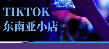 Tiktok东南亚跨境小店运营班，一门专业的TK小店运营培训课-领学通