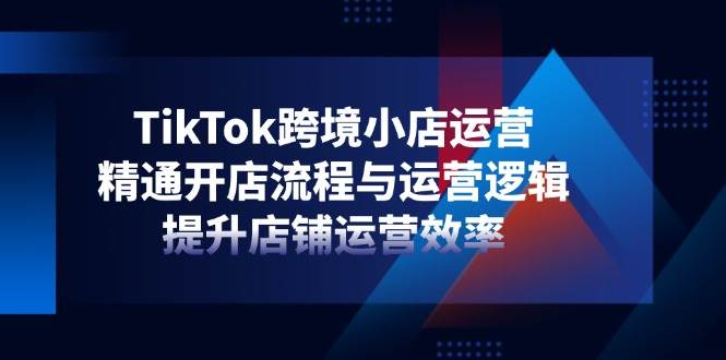 （14369期）TikTok跨境小店运营，精通开店流程与运营逻辑，提升店铺运营效率-领学通