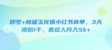 即梦+林黛玉完爆小红书商单，3天涨粉1千，靠怼人月入5k+-领学通