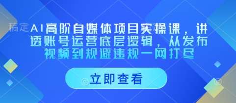 AI高阶自媒体项目实操课，讲透账号运营底层逻辑，从发布视频到规避违规一网打尽-领学通