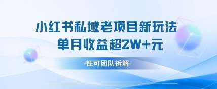 小红书私域项目新玩法，单月变现过W+-领学通