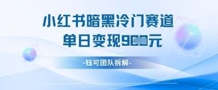 小红书冷门”暗黑”赛道，单日收益多张-领学通