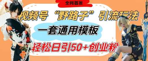 视频号“野路子”玩法，评论区疯狂截流，一套模板单日单号引流50+创业粉-领学通