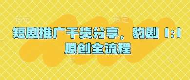 短剧推广干货分享，豹剧 1:1原创全流程-领学通