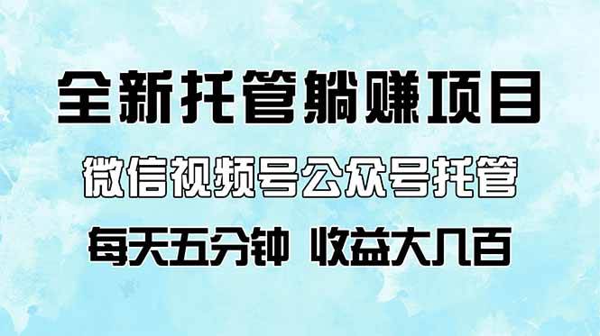 （14425期）全新托管躺赚项目，微信视频号公众号托管代运营，每天五分钟，收益大几百-领学通