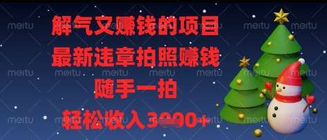 解气又挣钱的项目，最新违章拍照挣钱，随手一拍，轻松收入多张【揭秘】-领学通