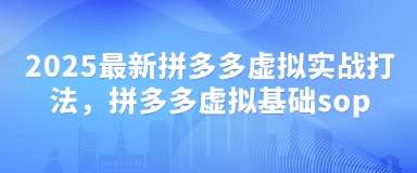 2025最新拼多多虚拟实战打法，拼多多虚拟基础sop-领学通