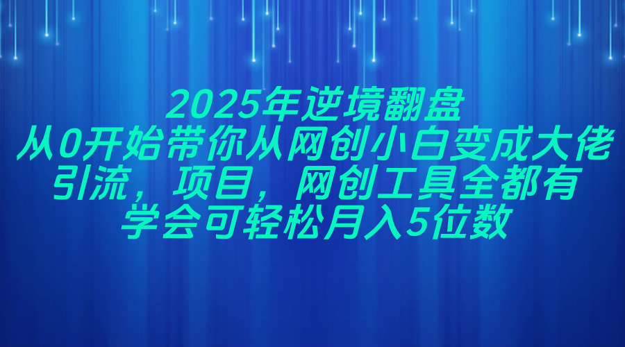 （14473期）2025年逆境翻盘，从0开始带你从网创小白变成大佬，引流，项目，网创工…-领学通