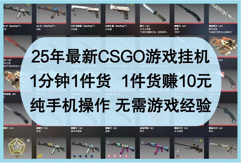 25年最新CSGO游戏挂机，1分钟1件货，1件货赚10元，纯手机操作，无需游戏经验-领学通