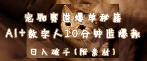 宠物赛道爆单秘籍：AI+数字人10分钟造爆款，日入1k-领学通
