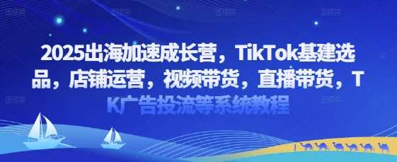 2025出海加速成长营，TikTok基建选品，店铺运营，视频带货，直播带货，TK广告投流等系统教程-领学通