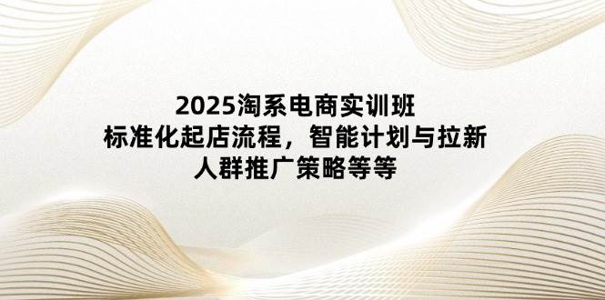 （14522期）2025淘系电商实训班：标准化起店流程，智能计划与拉新，人群推广策略等等-领学通