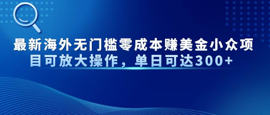 （14542期）最新海外无门槛零成本赚美金小众项目可放大操作，单日可达300+-领学通