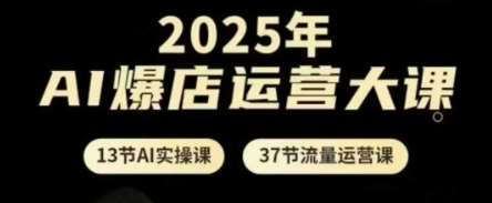 2025年AI爆店运营大课，13节AI实操课+37节流量运营课-领学通