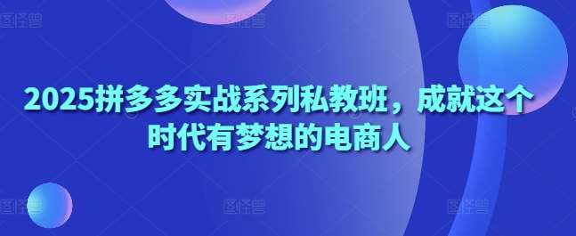 2025拼多多实战系列私教班，成就这个时代有梦想的电商人-领学通