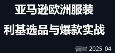 跨境电商选品案例24-25年，聚焦跨境电商选品策略与运营优化，助力卖家挖掘蓝海市场-领学通