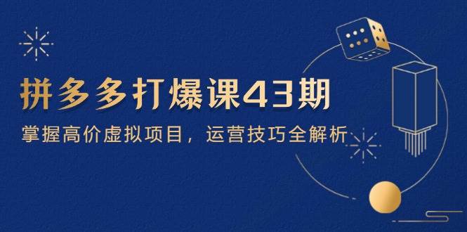 （14546期）拼多多打爆课第 43 期，掌握高价虚拟项目，运营技巧全解析（15节）-领学通