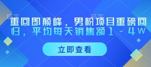 重回即颠峰，男粉项目重磅回归，平均每天销售额1-4W-领学通