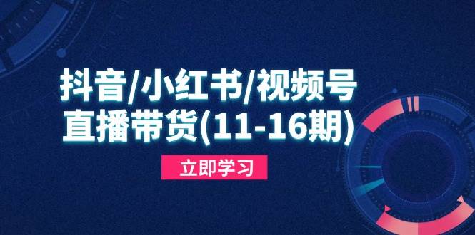 （14611期）抖音/小红书/视频号/直播带货(11-16期)，快速掌握平台规则，打造爆款内容-领学通