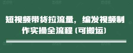 短视频带货拉流量，编发视频制作实操全流程(可搬运)-领学通