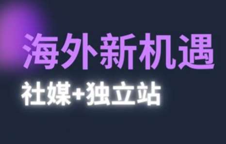 2025出海新机遇(社媒+独立站)，海外新机遇，实现独立站的高效运营与出海-领学通