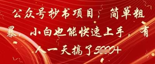 公众号抄书项目，简单粗暴，小白也能快速上手，有人一天搞了1k+-领学通
